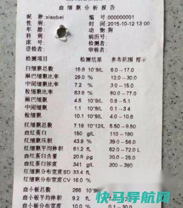狗狗生病了——犬急性胰腺炎 第2张