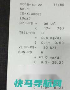 狗狗生病了——犬急性胰腺炎 第4张