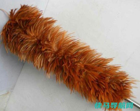 十大鸡毛掸子品牌排行，茶花鸡毛掸子知名度高、妙洁鸡毛掸子深入人心