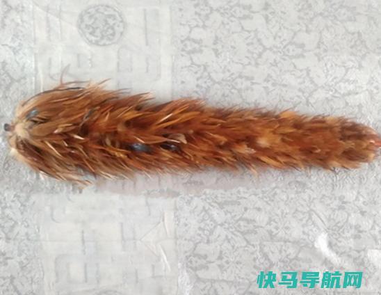 十大鸡毛掸子品牌排行，茶花鸡毛掸子知名度高、妙洁鸡毛掸子深入人心