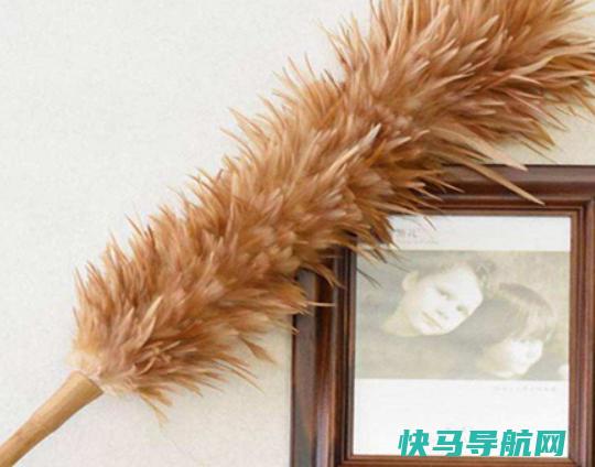 十大鸡毛掸子品牌排行，茶花鸡毛掸子知名度高、妙洁鸡毛掸子深入人心
