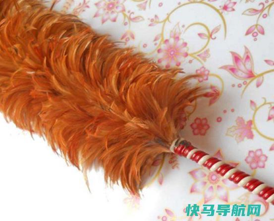 十大鸡毛掸子品牌排行，茶花鸡毛掸子知名度高、妙洁鸡毛掸子深入人心