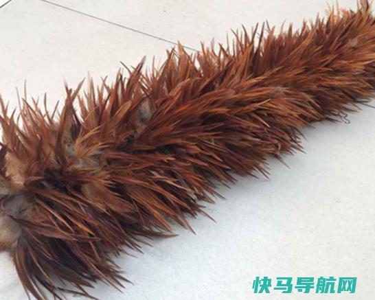 十大鸡毛掸子品牌排行，茶花鸡毛掸子知名度高、妙洁鸡毛掸子深入人心