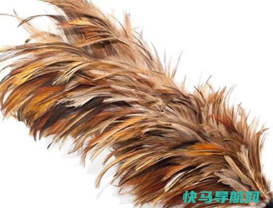十大鸡毛掸子品牌排行，茶花鸡毛掸子知名度高、妙洁鸡毛掸子深入人心