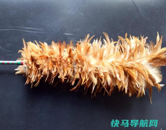 十大鸡毛掸子品牌排行，茶花鸡毛掸子知名度高、妙洁鸡毛掸子深入人心