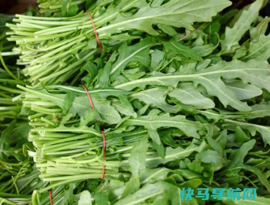 茼蒿根部需要去掉吗？茼蒿与豆腐能一起吃吗