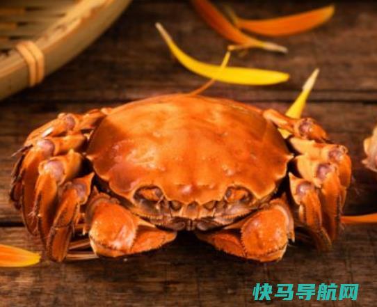 梭子蟹夹到手出血了有毒吗？电饭煲蒸梭子蟹要先解冻吗