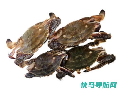 炸梭子蟹能用土豆淀粉吗？炸梭子蟹用面粉还是淀粉